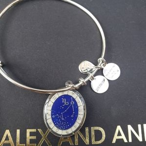 Alex and Ani Capricorn charm bracelet